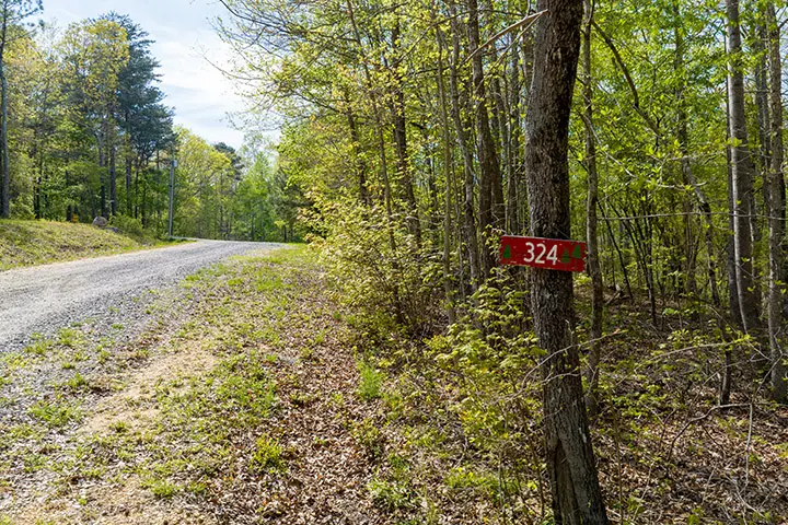A sign on a dirt road in the woods.