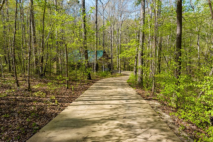 A path leading to a cabin in the woods.