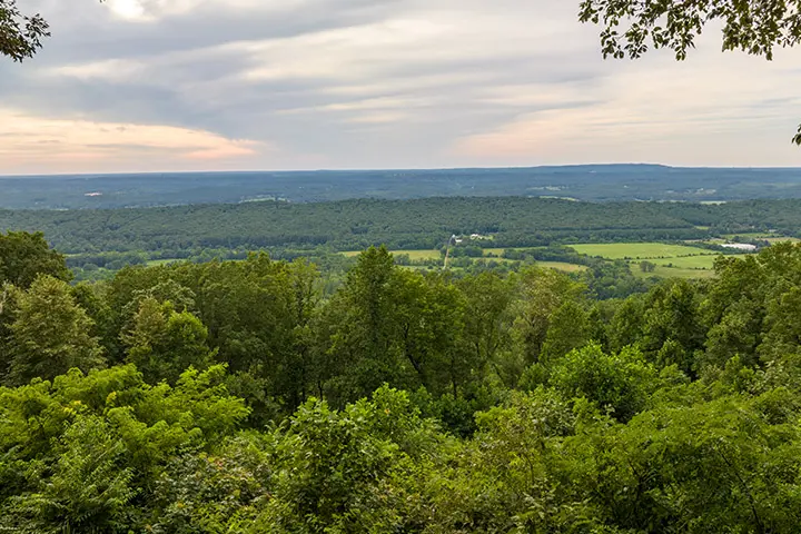 A view of a forest from a hilltop overlooking a valley.