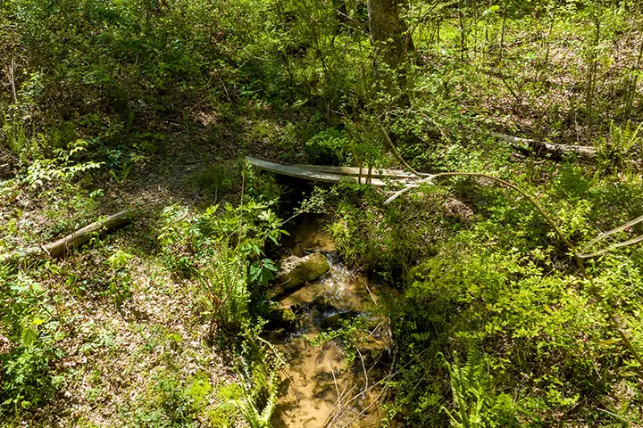 An aerial view of a stream in the woods.