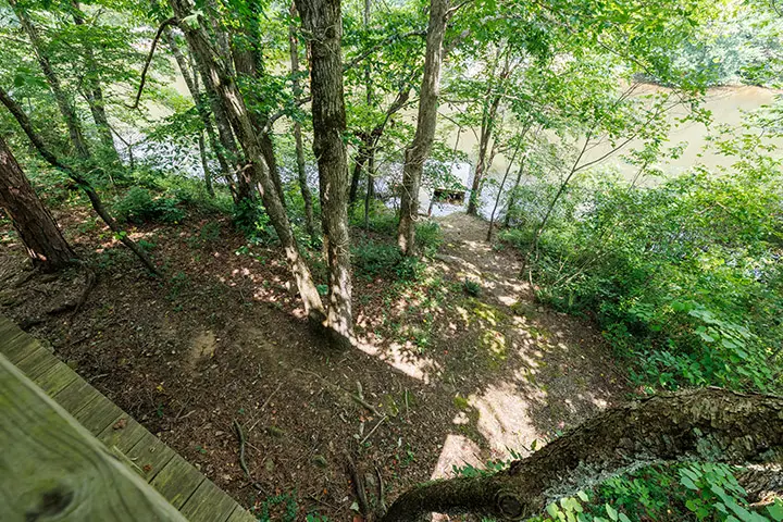 A view of a wooded area from the top of a deck.