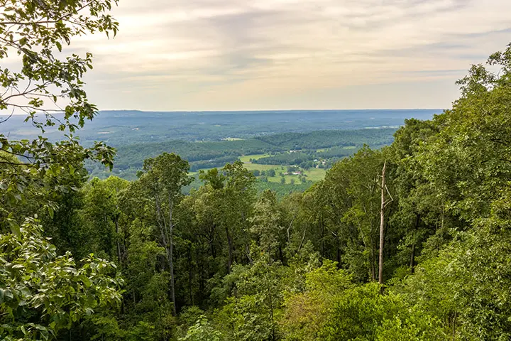 A view from a hill overlooking a forest and valley.