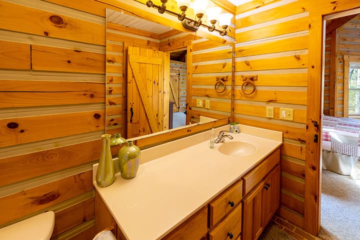 A bathroom in a log cabin.