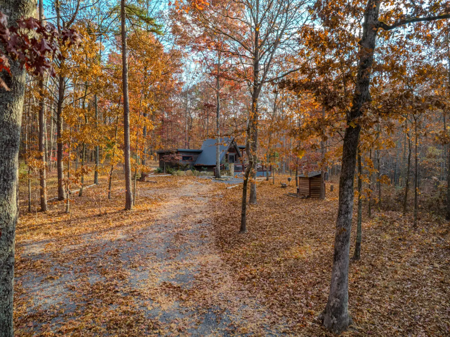 Nestled in the woods, Little River Point offers a cozy cabin retreat surrounded by vibrant fall leaves.