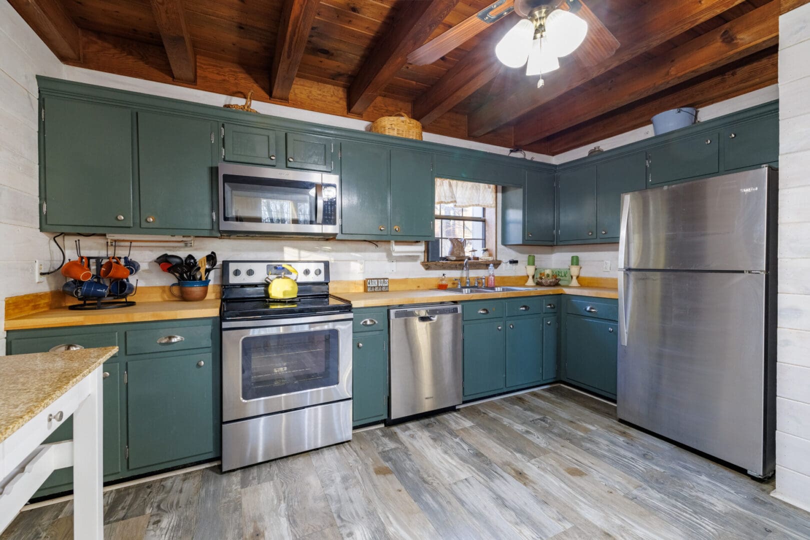 A vacation kitchen with green cabinets and stainless steel appliances.
