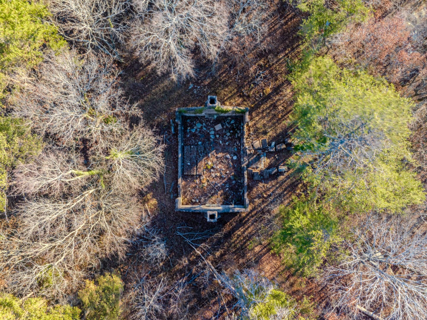 An aerial view of an old house in the woods during a vacation.